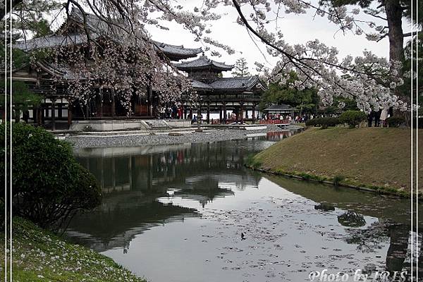 京都文化遺產2010_0403_094450.jpg