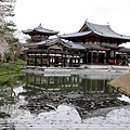 京都文化遺產2010_0403_094709.jpg