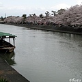 京都文化遺產2010_0403_101339.jpg