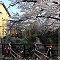 京都單車2010_0404_154747.jpg