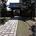 奈良古寺與梅花鹿2010_0408_145339.jpg