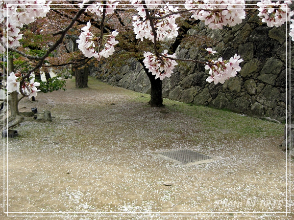 姬路城2010_0405_112102.jpg