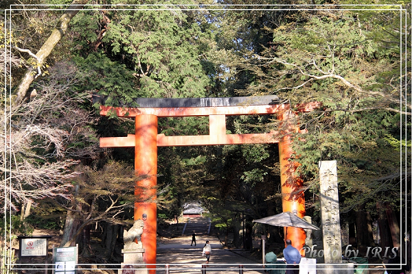 奈良古寺與梅花鹿2010_0408_155210.jpg