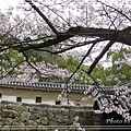 姬路城2010_0405_111226.jpg