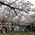姬路城2010_0405_113452.jpg