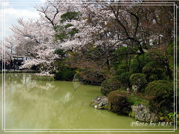 清水寺和服變裝2010_0406_112859.jpg