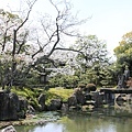 京都0404028.JPG