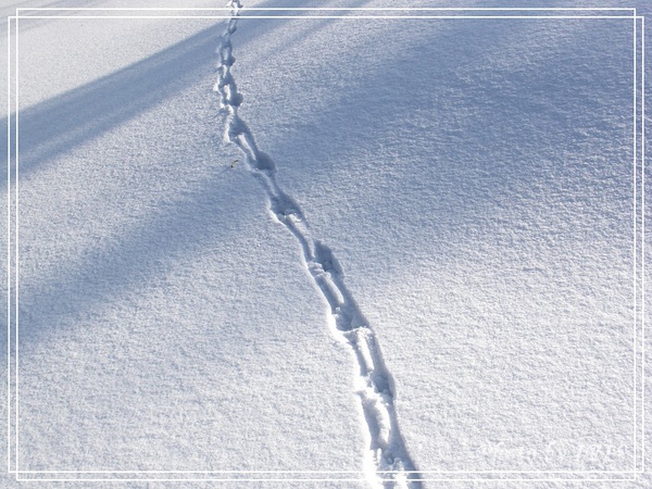 太陽島冰雪大世界-42.jpg