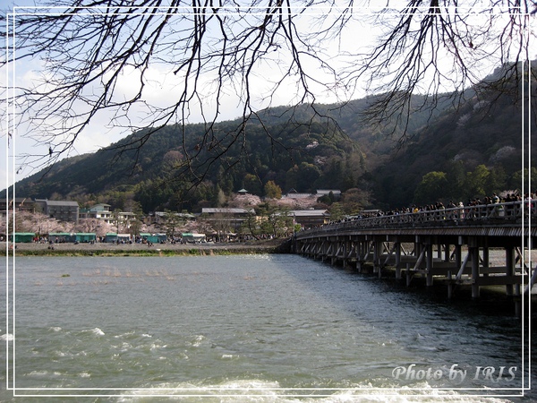 京都文化遺產2010_0403_143823.jpg