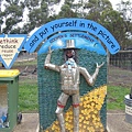 2009_0608bundoora0012.JPG