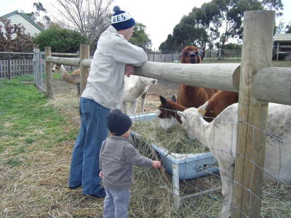 2009_0608bundoora0036.JPG