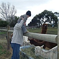 2009_0608bundoora0038.JPG