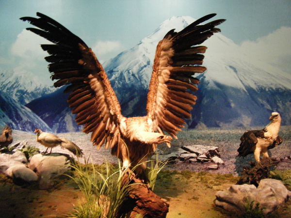 2009_1219museum0003.JPG