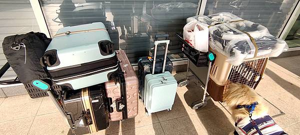 《飛行記錄》日本航空 JL99 HND-TSA B787-8