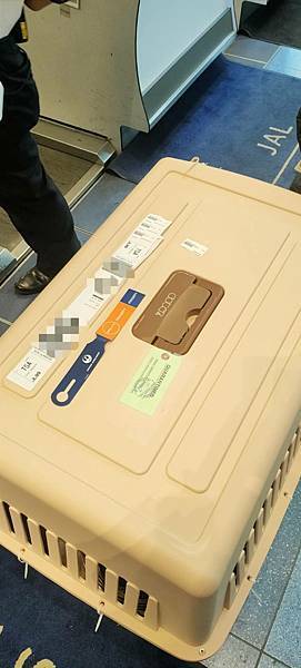 《飛行記錄》日本航空 JL99 HND-TSA B787-8