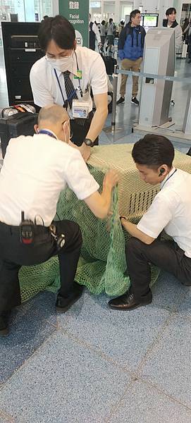 《飛行記錄》日本航空 JL99 HND-TSA B787-8