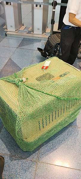 《飛行記錄》日本航空 JL99 HND-TSA B787-8