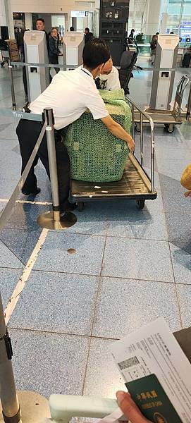 《飛行記錄》日本航空 JL99 HND-TSA B787-8