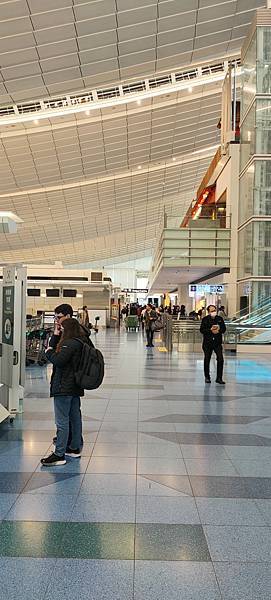 《飛行記錄》日本航空 JL99 HND-TSA B787-8