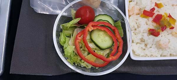 《飛行記錄》日本航空 JL99 HND-TSA B787-8