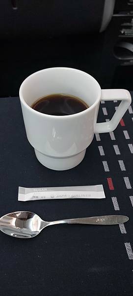 《飛行記錄》日本航空 JL99 HND-TSA B787-8