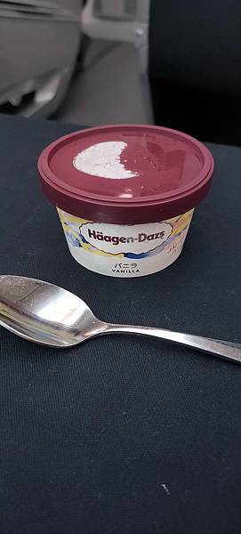 《飛行記錄》日本航空 JL99 HND-TSA B787-8