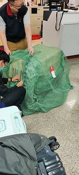 《飛行記錄》日本航空 JL99 HND-TSA B787-8