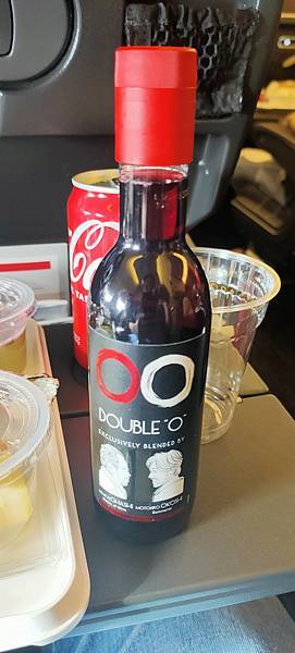 《飛行記錄》日本航空 JL8664 TPE-NRT B767 《飛行記錄》日本航空 JL8664 TPE-NRT B767