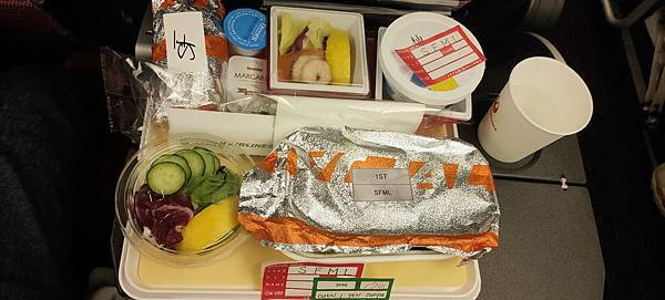 《飛行記錄》日本航空 JL8664 TPE-NRT B767 《飛行記錄》日本航空 JL8664 TPE-NRT B767