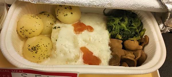 《飛行記錄》日本航空 JL8664 TPE-NRT B767 《飛行記錄》日本航空 JL8664 TPE-NRT B767