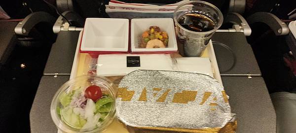 《飛行記錄》日本航空 JL8664 TPE-NRT B767 《飛行記錄》日本航空 JL8664 TPE-NRT B767