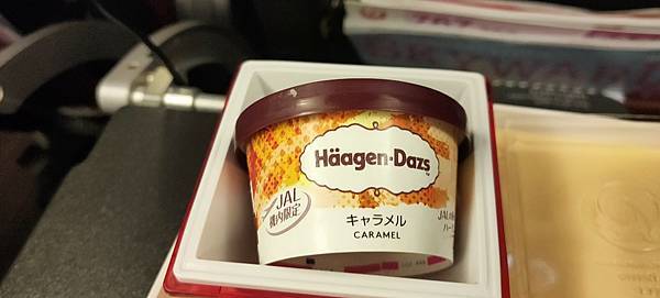 《飛行記錄》日本航空 JL8664 TPE-NRT B767 《飛行記錄》日本航空 JL8664 TPE-NRT B767