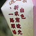 宜蘭 (66 - 461).jpg