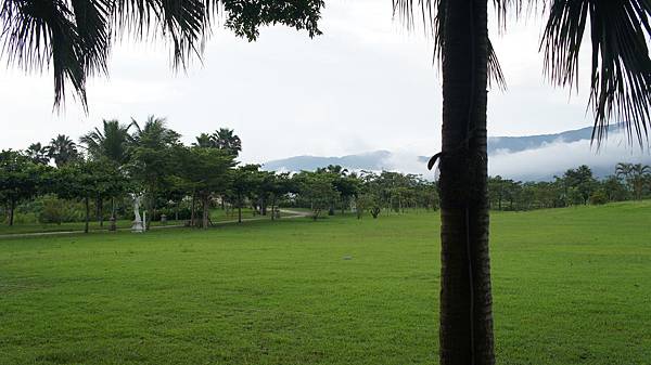 DSC05955 DSC05955