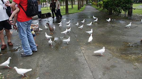 DSC05980 DSC05980