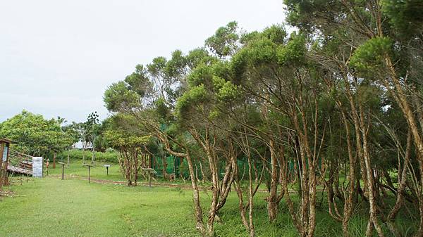 DSC05985 DSC05985