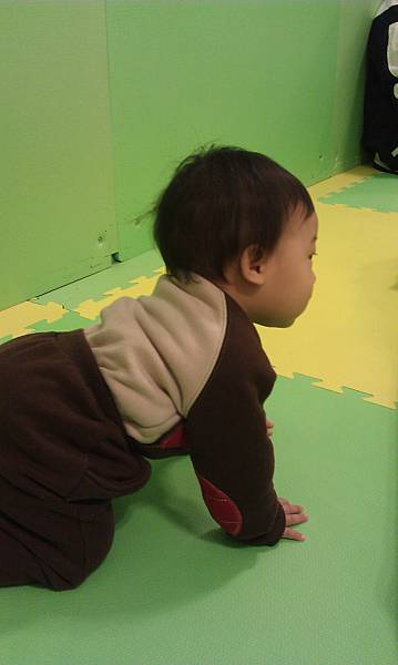IMAG0541.jpg