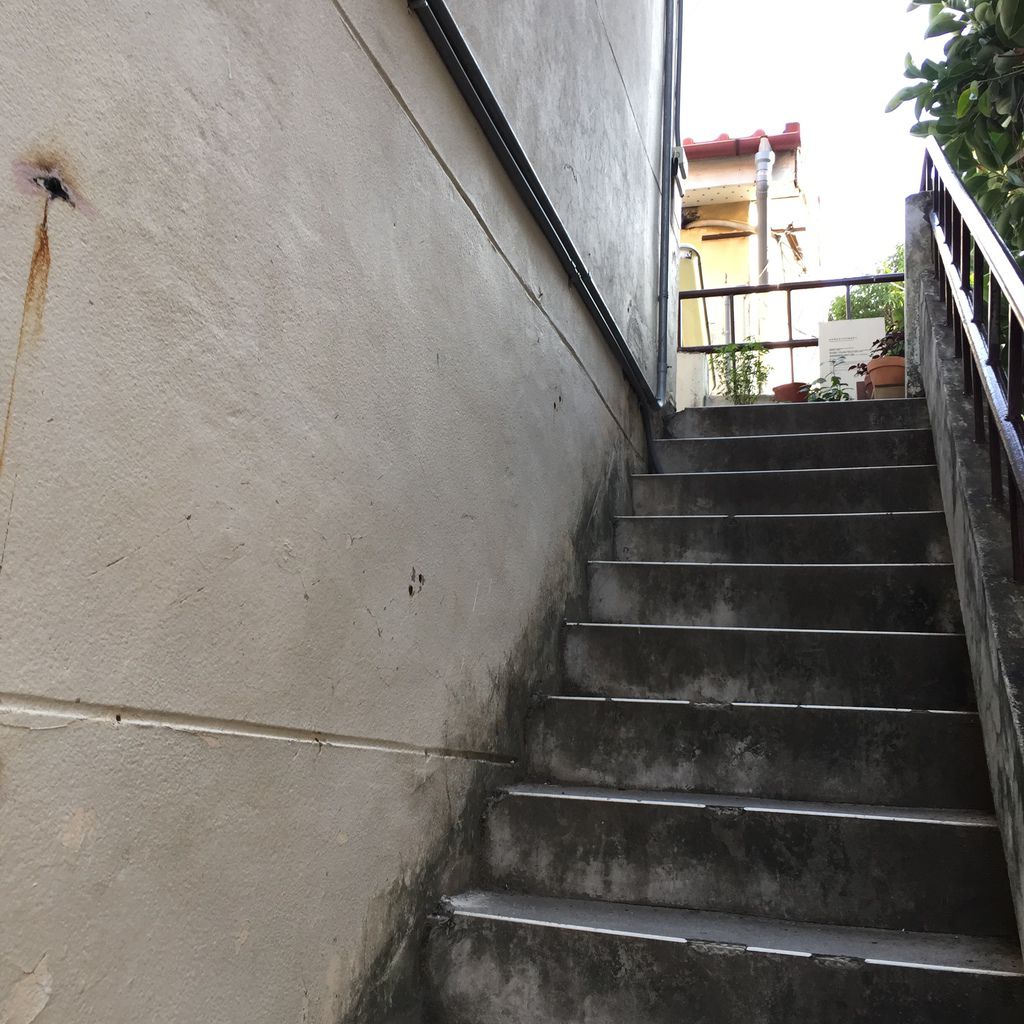 F18AC106-6070-40A6-BF6B-862E708A429A.jpeg F18AC106-6070-40A6-BF6B-862E708A429A.jpeg