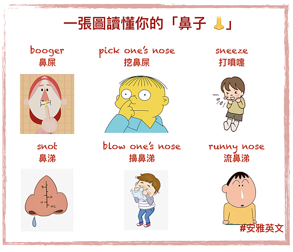 安雅英文 用英文準確表達你的 鼻子 鼻屎 洗鼻嚏該怎麼說 Anya English 安雅英文 痞客邦 安雅英文 用英文準確表達你的 鼻子 鼻屎 洗鼻嚏該怎麼說 Anya English 安雅英文 痞客邦