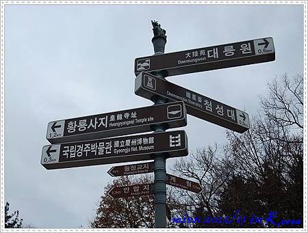 DSCF0943 DSCF0943
