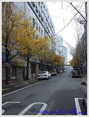 DSCF1331 DSCF1331