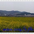 20140403_122037.jpg