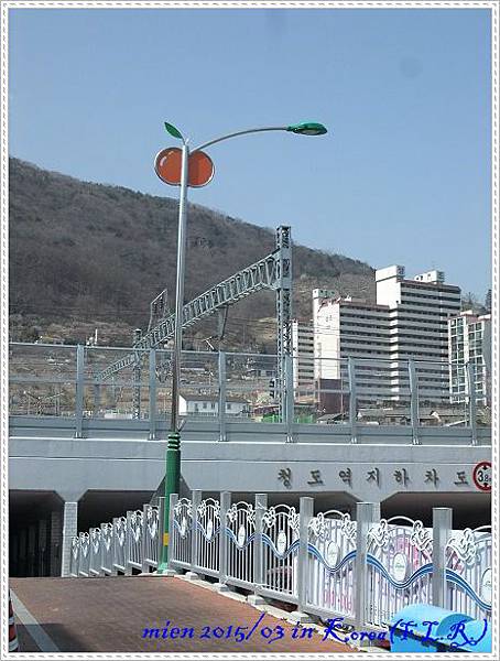 DSCF9854.jpg DSCF9854.jpg
