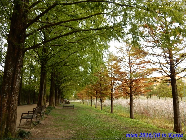 DSCN1895.JPG DSCN1895.JPG