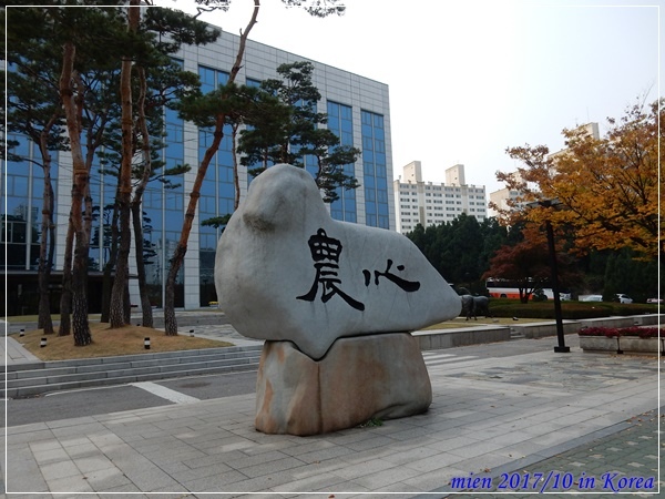 DSCN5263.JPG DSCN5263.JPG