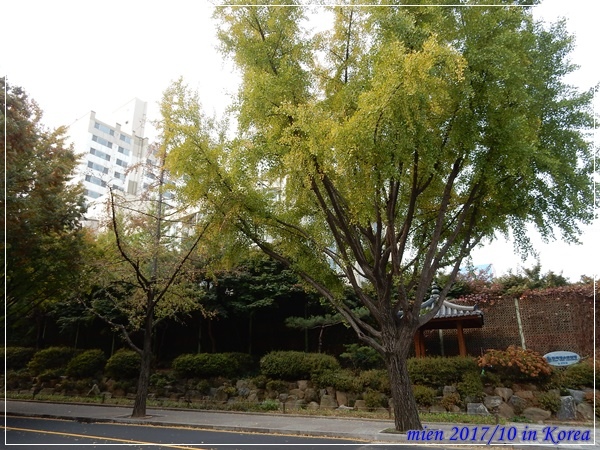 DSCN5269.JPG DSCN5269.JPG