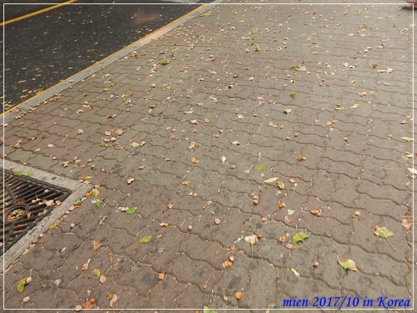 DSCN5270.JPG DSCN5270.JPG