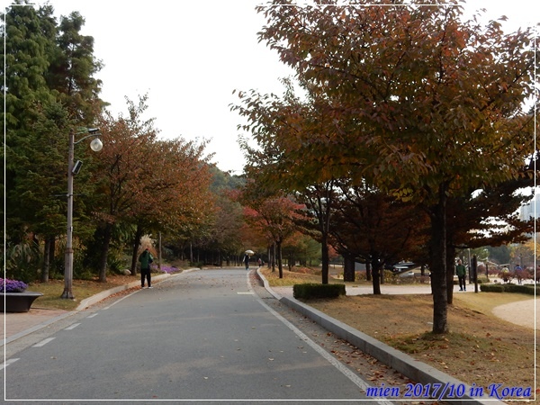 DSCN5286.JPG DSCN5286.JPG