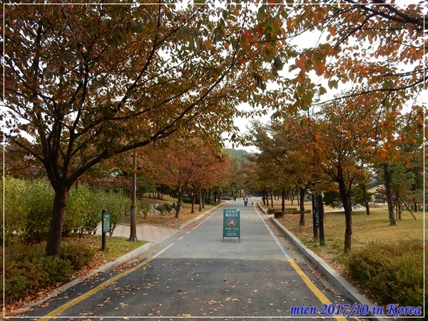 DSCN5281.JPG DSCN5281.JPG