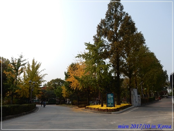 DSCN5293.JPG DSCN5293.JPG